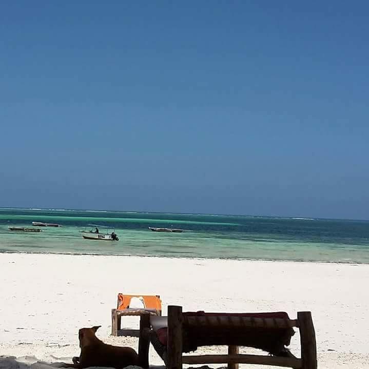 Sipano Beach Lodge Kiwengwa  Esterno foto