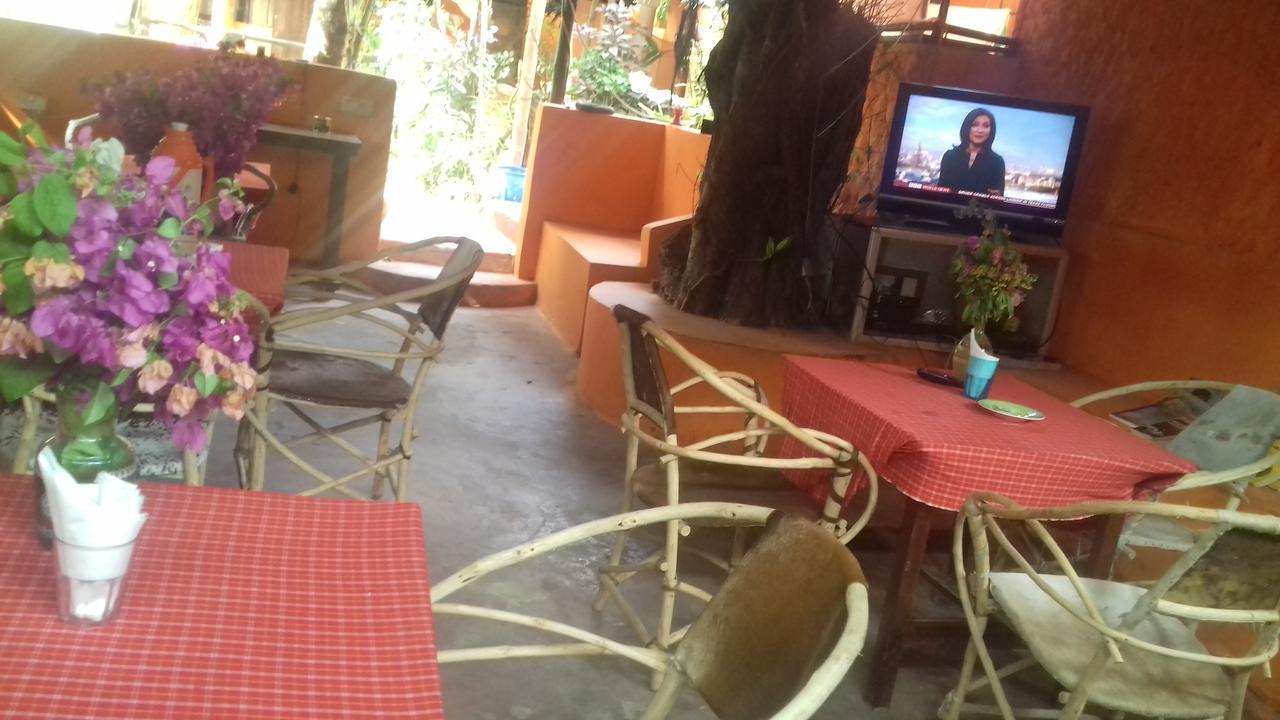 Sipano Beach Lodge Kiwengwa  Esterno foto