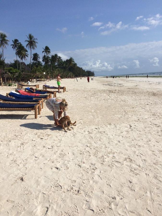 Sipano Beach Lodge Kiwengwa  Esterno foto