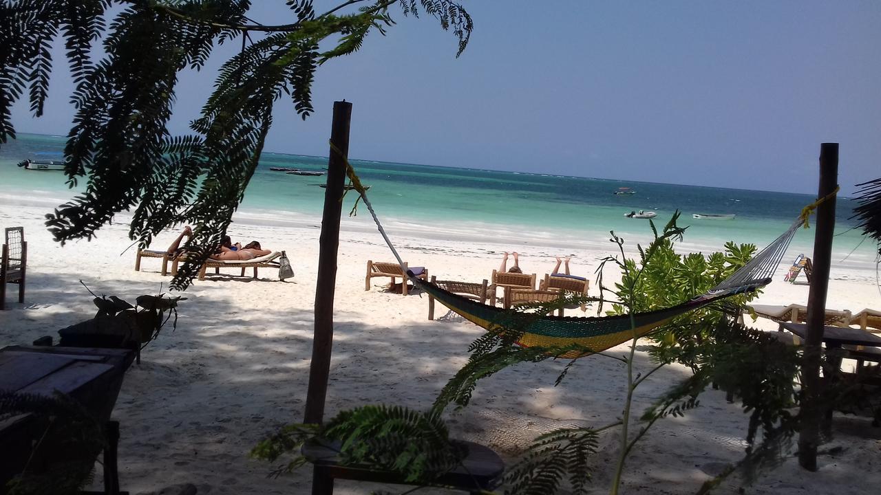Sipano Beach Lodge Kiwengwa  Esterno foto